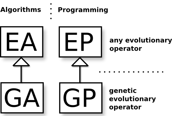 Image EA-GA.and.EP-GP