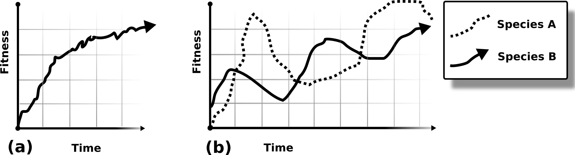 Image Optimize-vs-CoEvo